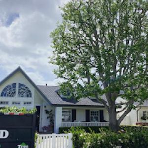 Tree MD of Orange County