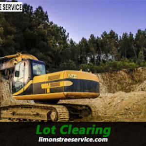 Limon's Tree Service - Affordable Tree Removal, Professional & Quality Tree Service