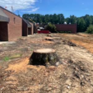 Great Scott's Residential Services