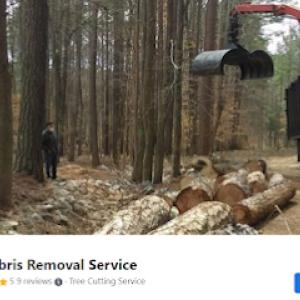 Tree & Debris Removal Service