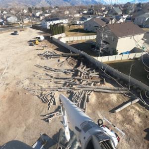 Andy's Stump & Tree Service