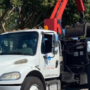 Bay Area Tree Service