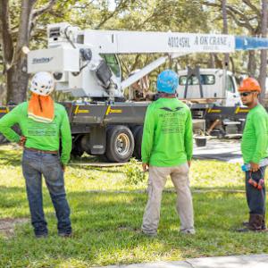 Black Eagle Tree Services