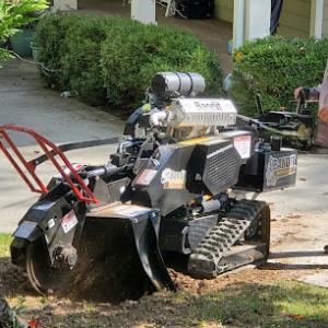 Rocky Top Stump Grinding