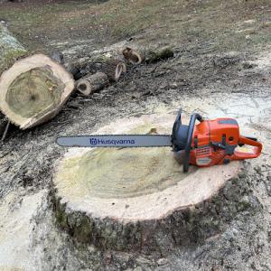Justice Tree Service