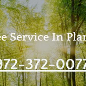 Tree Care Plano