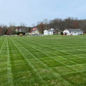 Wills Property Maintenance