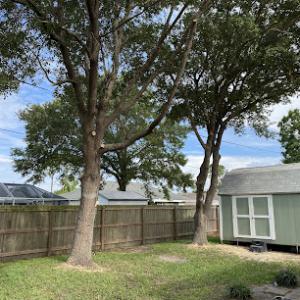 Limb-It-Less Tree Service