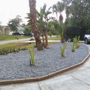 T's Tree & Lawn care