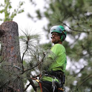 North Idaho Tree Removal