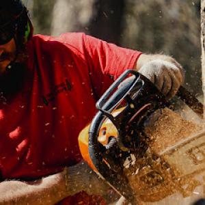 All Seasons Tree Service