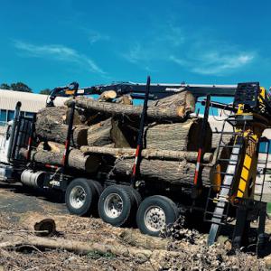 Castro Tree Services