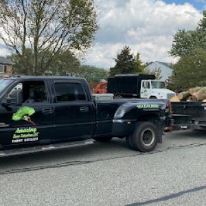 Amazing Tree Service