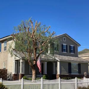 Tree Service Boss of Frisco