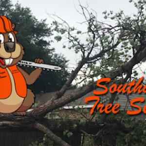 Southwest Tree Service