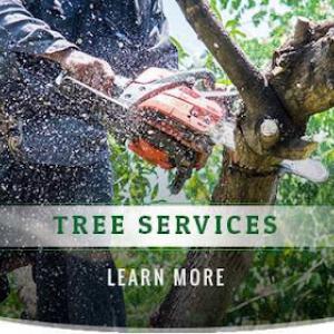 Martin's Tree Service