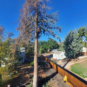 Garrett Tree Service