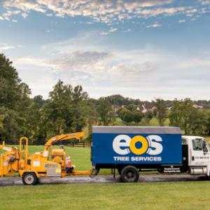 Eos Tree Services