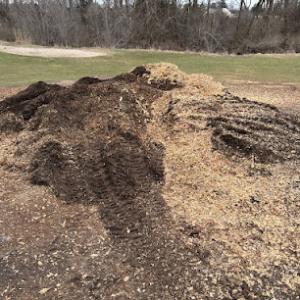 Conrad's Stump Removal