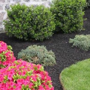 Holleywood Lawn & Landscape