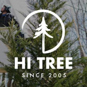 Hi Tree Service
