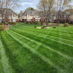Wise Cut Landscaping