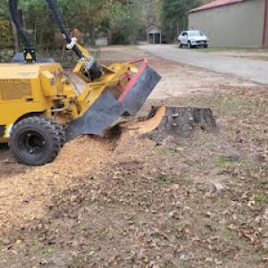 Big Daddy's Stump Grinding