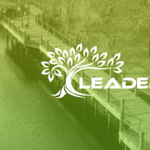 Leaders - Tree Service - Conway
