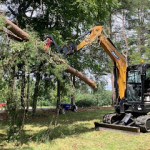 Storm Tree Services
