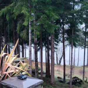 Holeman's Lawn & Yard Care LLC)