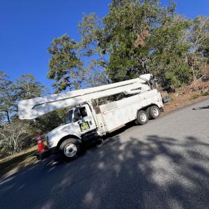 Lawg dawg llc land clearing & tree service