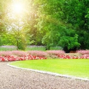 Westport Tree & Landscape