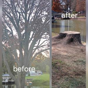Neighbor Tree Service & More