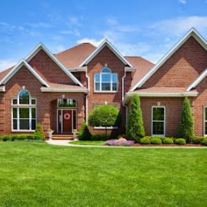 LCS Lawn & Tree Service