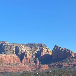 Gabriel's Landscape & Tree Service