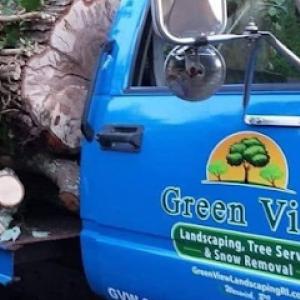 Green View Tree Service