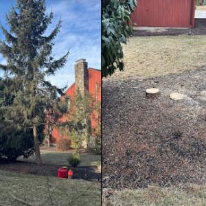 Manny's Lawn & Tree Service