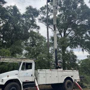 Waters Tree Service