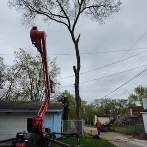 Cam's Tree Service