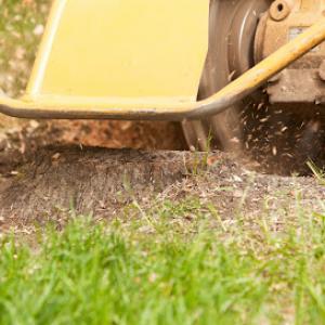 BT Stump Grinding