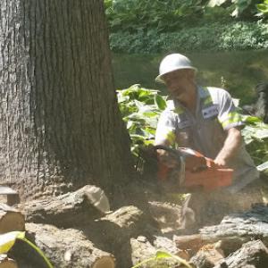 National Tree Service