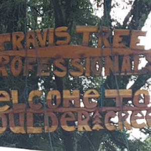 Travis Tree Professionals