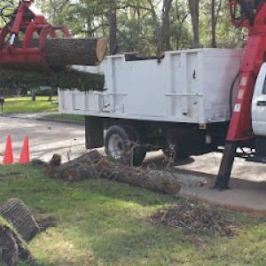 Green Industry Tree Service
