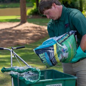 Arbor-Nomics Turf, Inc. Lawn Care Services & Grass Treatment