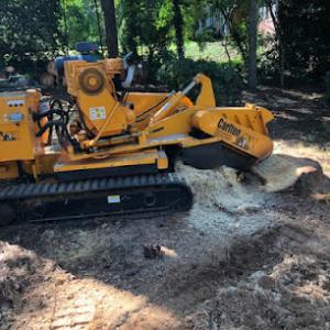 GA 400 Tree & Stump Removal / Land Services