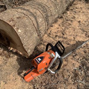JM Tree Service Douglasville