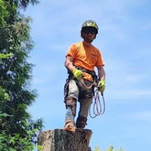 DMR Tree Care