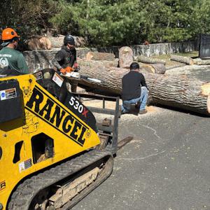 Rangel Landscaping & Contracting