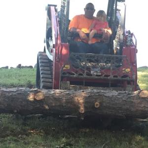 Mikes Tree Company