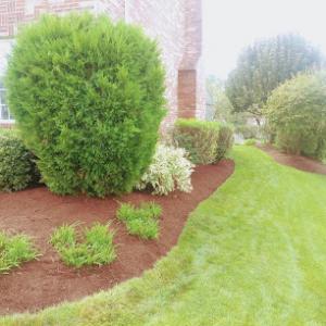 Titan Landscape & Tree Services
